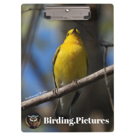 Bejda.Bilder Urklipp