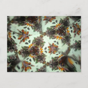 Bejeweled Kaleidescope 27 Vykort