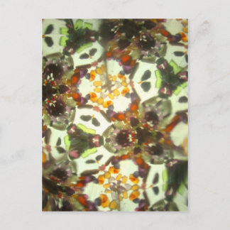 Bejeweled Kalejdoskop 26 Vykort