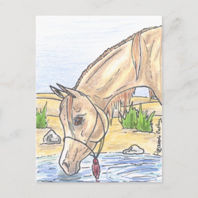 ’Bejh bint Ahwa’  Vykort (Framsida)