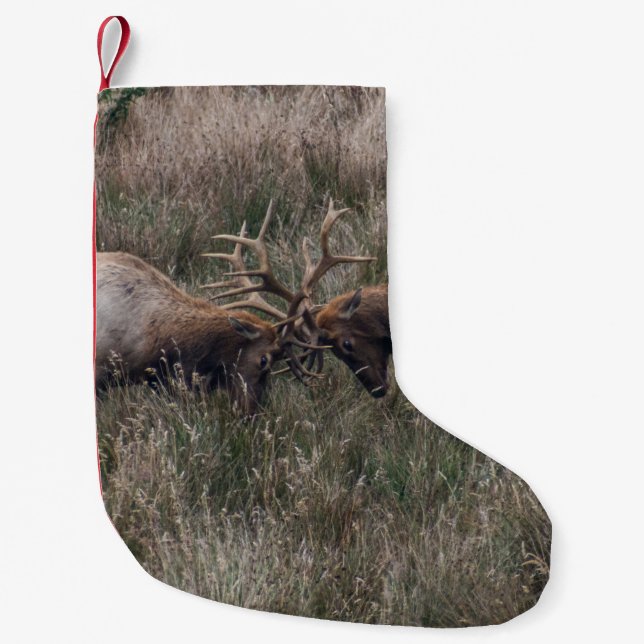 BEKÄMPNING AV DERAR LITEN JULSTRUMPA (Framsidan)