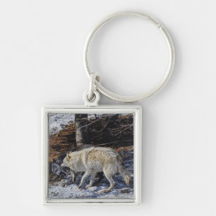 Bekämpning av Grått Vargs Wildlife Photo Art Fyrkantig Silverfärgad Nyckelring