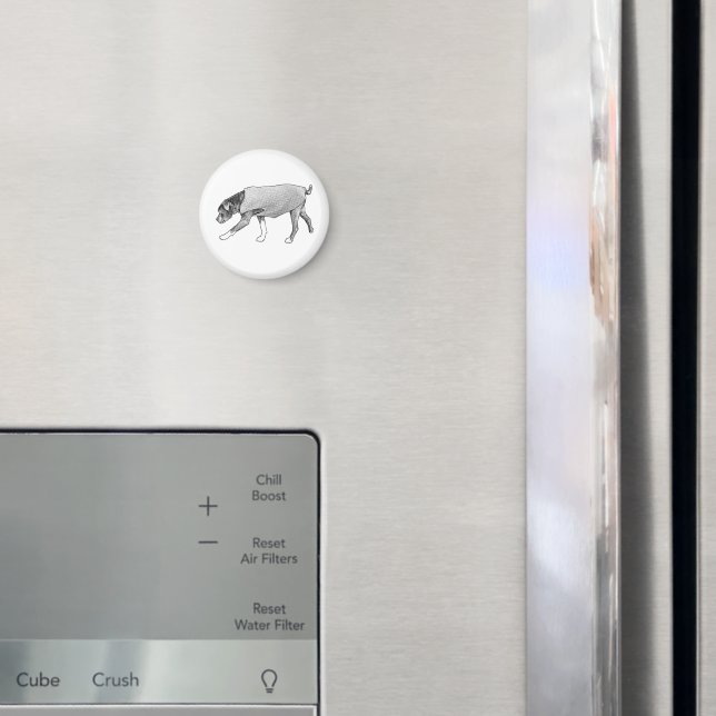 Bekanta stigar ihågkomna magnet (In Situ (Fridge))