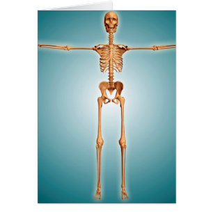 Bekläda beskådar av Skeletal system för männis Hälsningskort