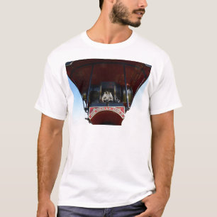 Bekläda specificerar dragkraftmotorn tee