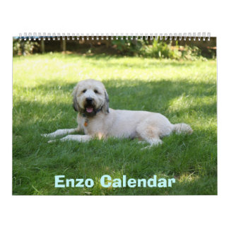 Bekläda täcker, den Enzo kalendern Kalender