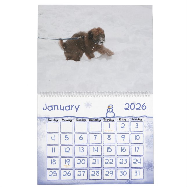 Bekläda täcker, den Enzo kalendern Kalender (Jan 2026)