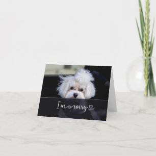 Beklagar att kortet är tomt kort