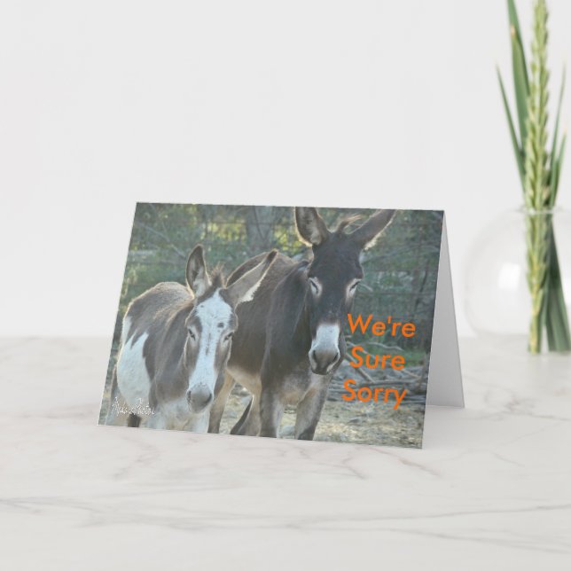 Beklagar att multikulera-anpassa kort (Framsida)