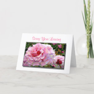 Beklagar dina Lämna- och Lycka till-hälsningskort Kort