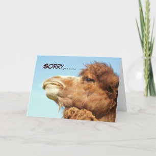 Beklagar - kort