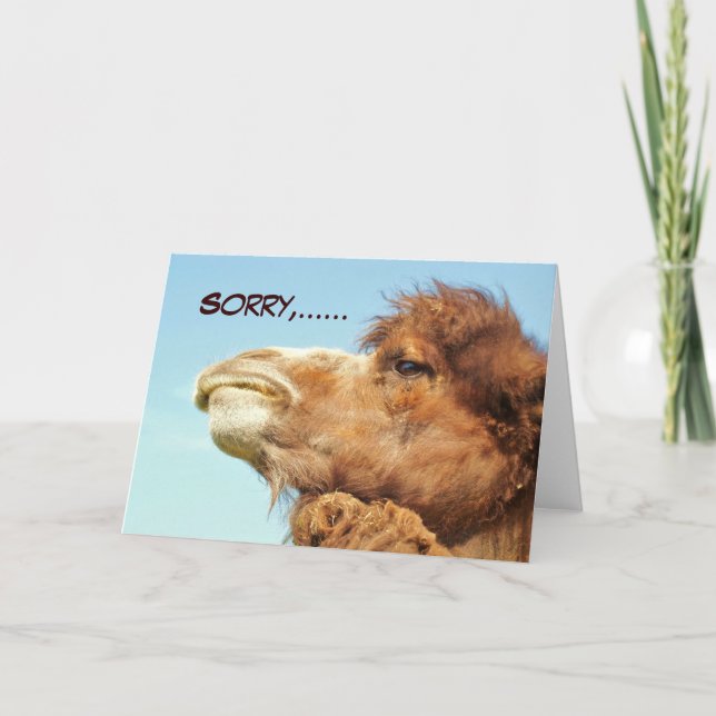 Beklagar - kort (Framsida)