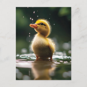 "Beklagligt Duckling i regnet Vykort