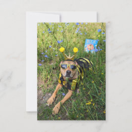 Bekostume bok Rolig hund fotokort Tack Kort