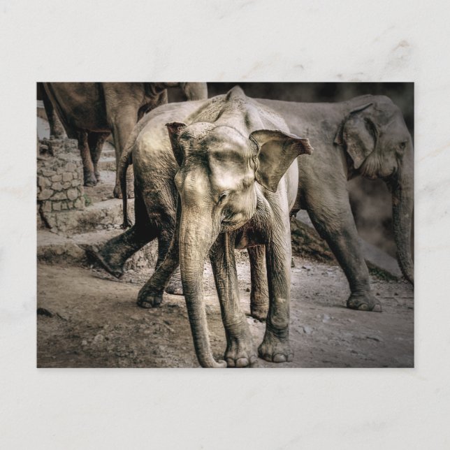 Bekräftelse Vykort (Framsida)