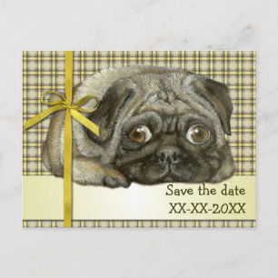 Bekväm pug meddelande vykort