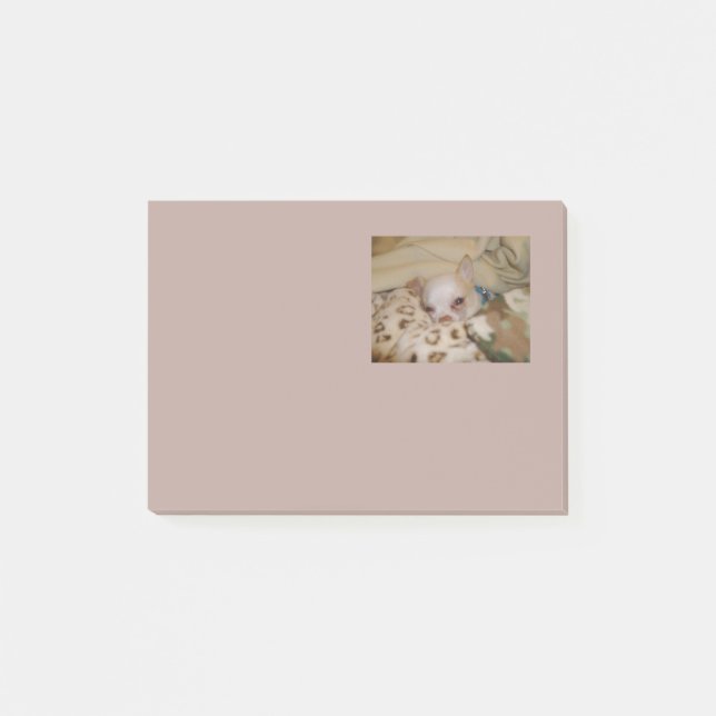 Bekväma Chihuahua-anteckningar Post-it Block (Framsida)