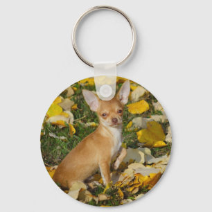 Bekvämt Chihuahua Puppy mellan Gult Löv Nyckelring