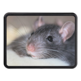 Bekvämt Dragkroksskydd