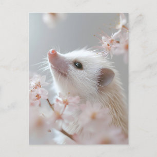 Bekvämt Hedgehog bland Vår Blommar Vykort
