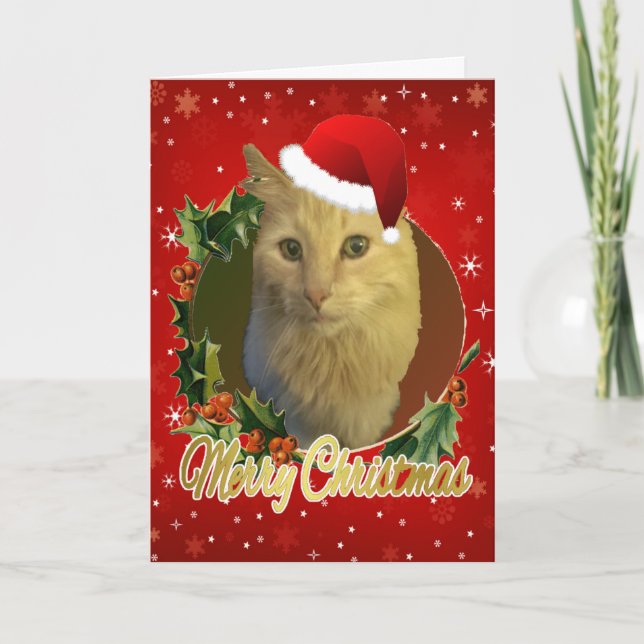 Bekvämt katt i jultomten helgkort (Framsida)