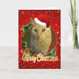 Bekvämt katt i jultomten helgkort
