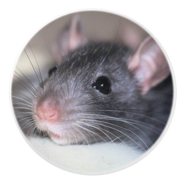 Bekvämt Knopp (Framsidan)