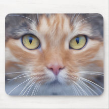 Bekvämt Little Kattunge