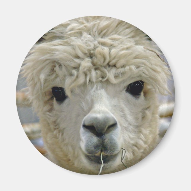 Bekvämt Magnet (Framsidan)