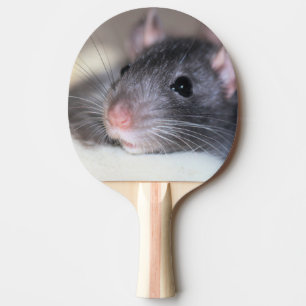 Bekvämt Pingisracket