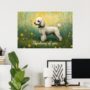 Bekvämt Pudel när du tänker på dig. Poster
