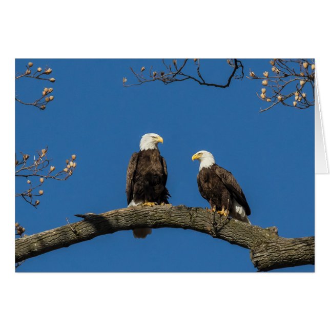 Bekvämt runt dig hälsningskort (Framsidan Horizontal)