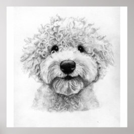 Bekvämt skiss över hund, lagotto poster