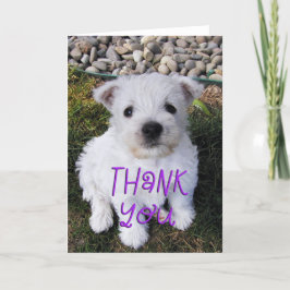 Bekvämt Westie Puppy Photo - tackkort