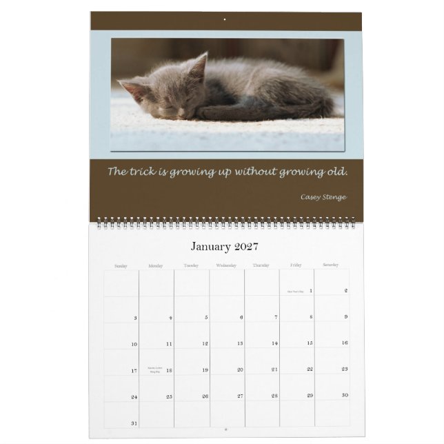 Bekymmer slösar vishet kalender (Jan 2027)