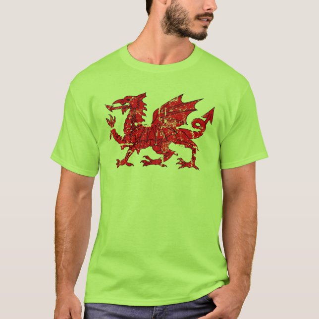 bekymrad wales flaggadrake tee shirt (Framsida)