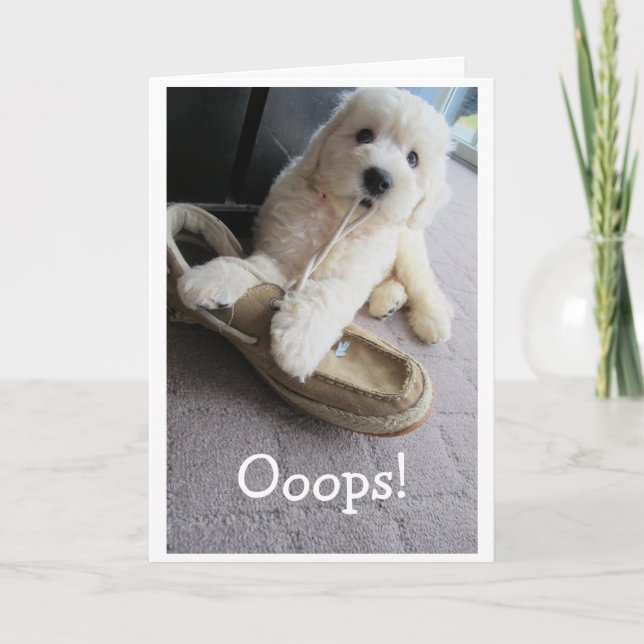 Belad Birthday, Cute Goldendoodle valp Humor Kort (Framsida)