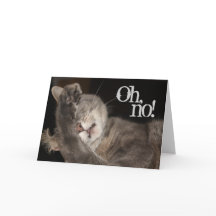 Belad födelsedag, katt