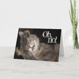 Belad födelsedag, katt kort