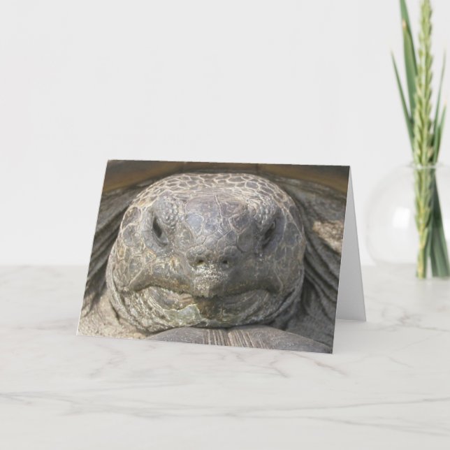 Belad födelsedag kort (Framsida)