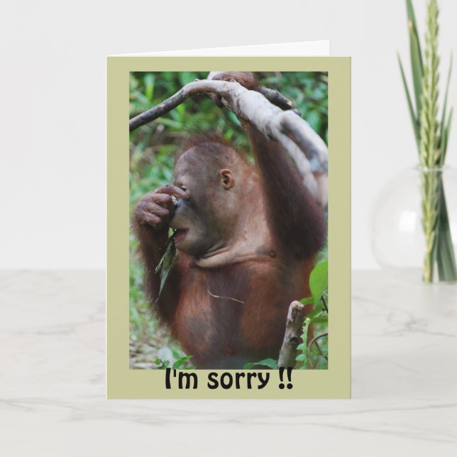 Belad Grattis på födelsedagen Kort (Framsida)