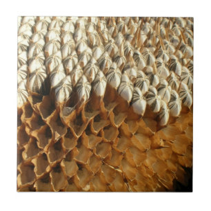 Belägga med tegel - solrosfrö kakelplatta