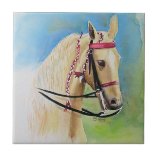 Belägger med tegel kakelplatta