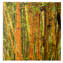 Belägger med tegel keramisk konst för 6 x 6 bambu