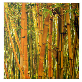 Belägger med tegel keramisk konst för 6 x 6 bambu kakelplatta