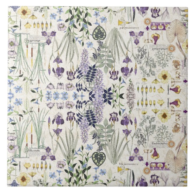 Belägger med tegel keramiska botaniska blommor för kakelplatta (Framsidan)