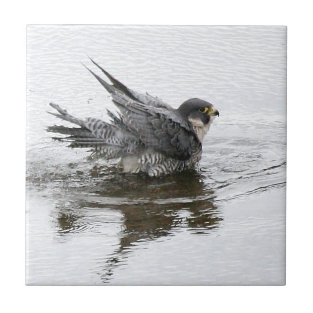 Belägger med tegel lilla keramiska för kakelplatta (Framsidan)