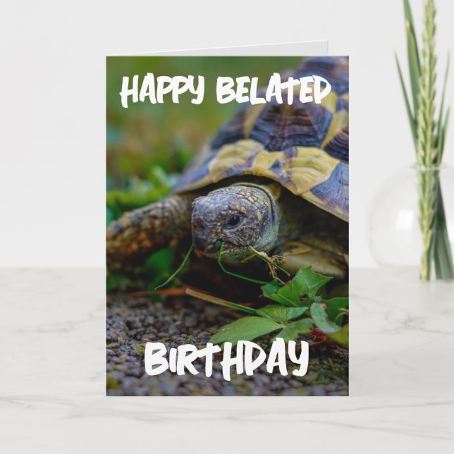 BELAGT BIRTHDAY TURTLE BIG GREETING CARD TACK KORT (Framsida)