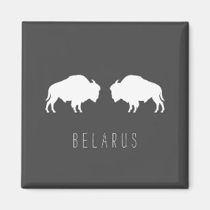 Belarus Vitbison Зубр Беларусь Resa Magnet