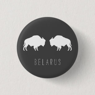 Belarus Vitryska Bison Зубр Беларусь Resa Knapp